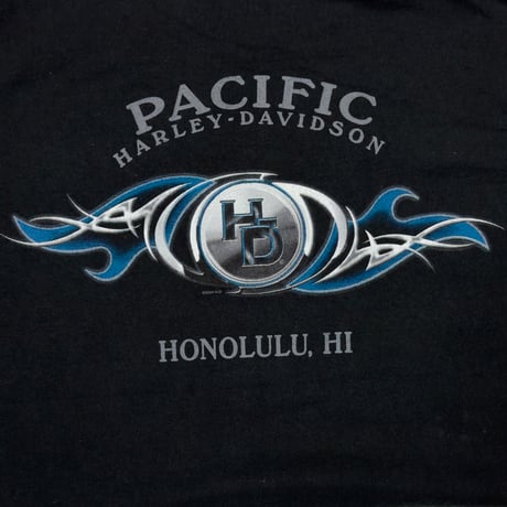 HARLEY DAVIDSON 2004 BLUE FLAME SKULL LS LARGE 8722