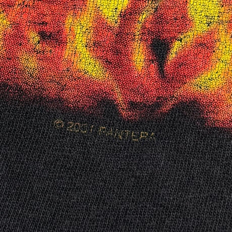 PANTERA 2001 REINVENTING NAKED GIRL FITS XL 8841