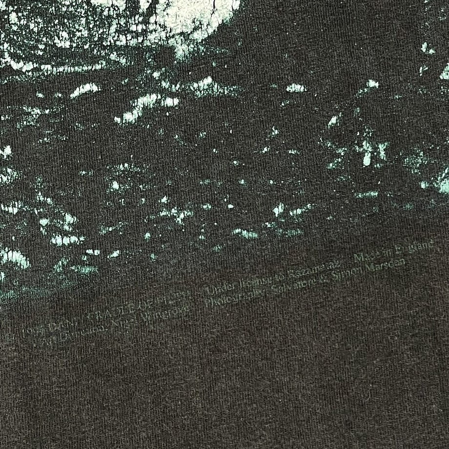 6249334f9a7062444128e5b7