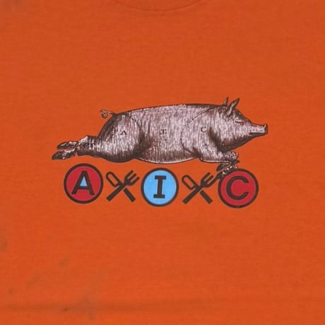 ALICE IN CHAINS THE OTHER WHITE MEAT ORANGE HANES XL 2342