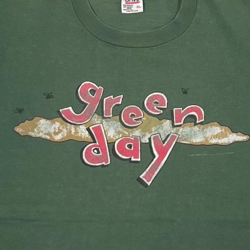 GREEN DAY DOOKIE FADED GREEN ANVIL XL 2510 | gr