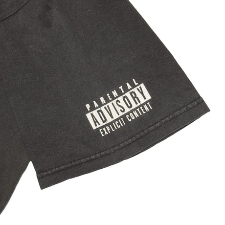 EMINEM THE EMINEM SHOW AFTERMATH ENTERTAINMENT Hanes LARGE 6644