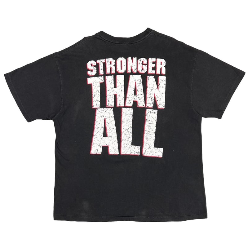 PANTERA COWBOYS FROM HELL HANES XL 2138 | great