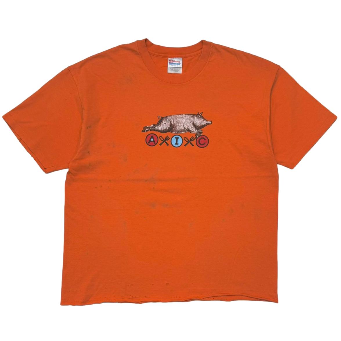 ALICE IN CHAINS THE OTHER WHITE MEAT ORANGE HAN