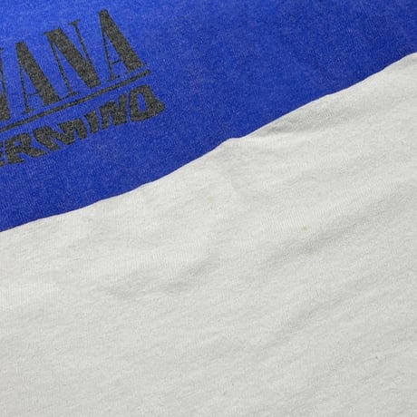 NIRVANA NEVERMIND STEDMAN BY HANES LARGE 7342