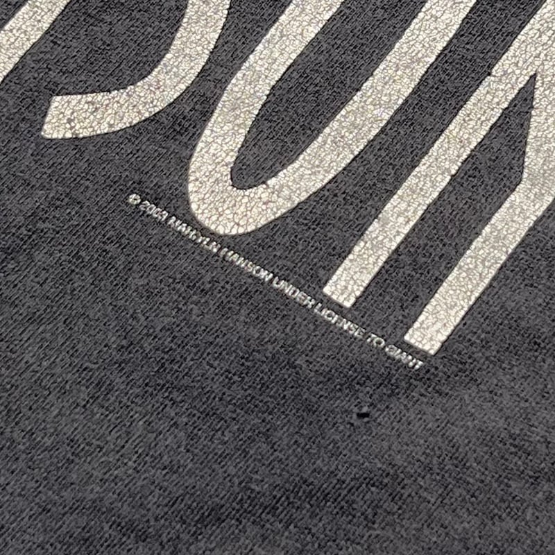 MARILYN MANSON GROTESK BURLESK TENNESSEE RIVER