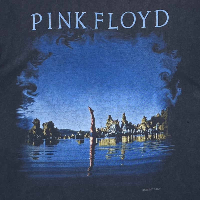 PINK FLOYD WISH YOU WERE HERE DELTA XL 6648 | g