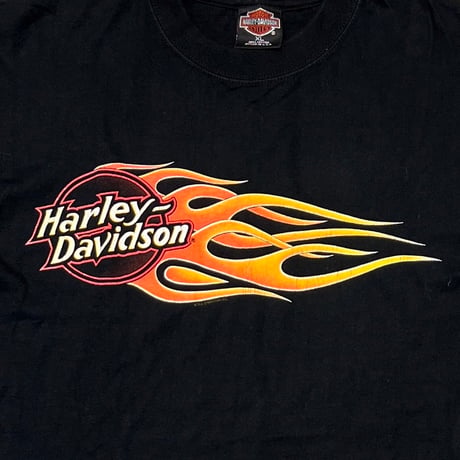 HARLEY DAVIDSON DOCKGATE MOTORCYCLES FLAME LS XL 3657
