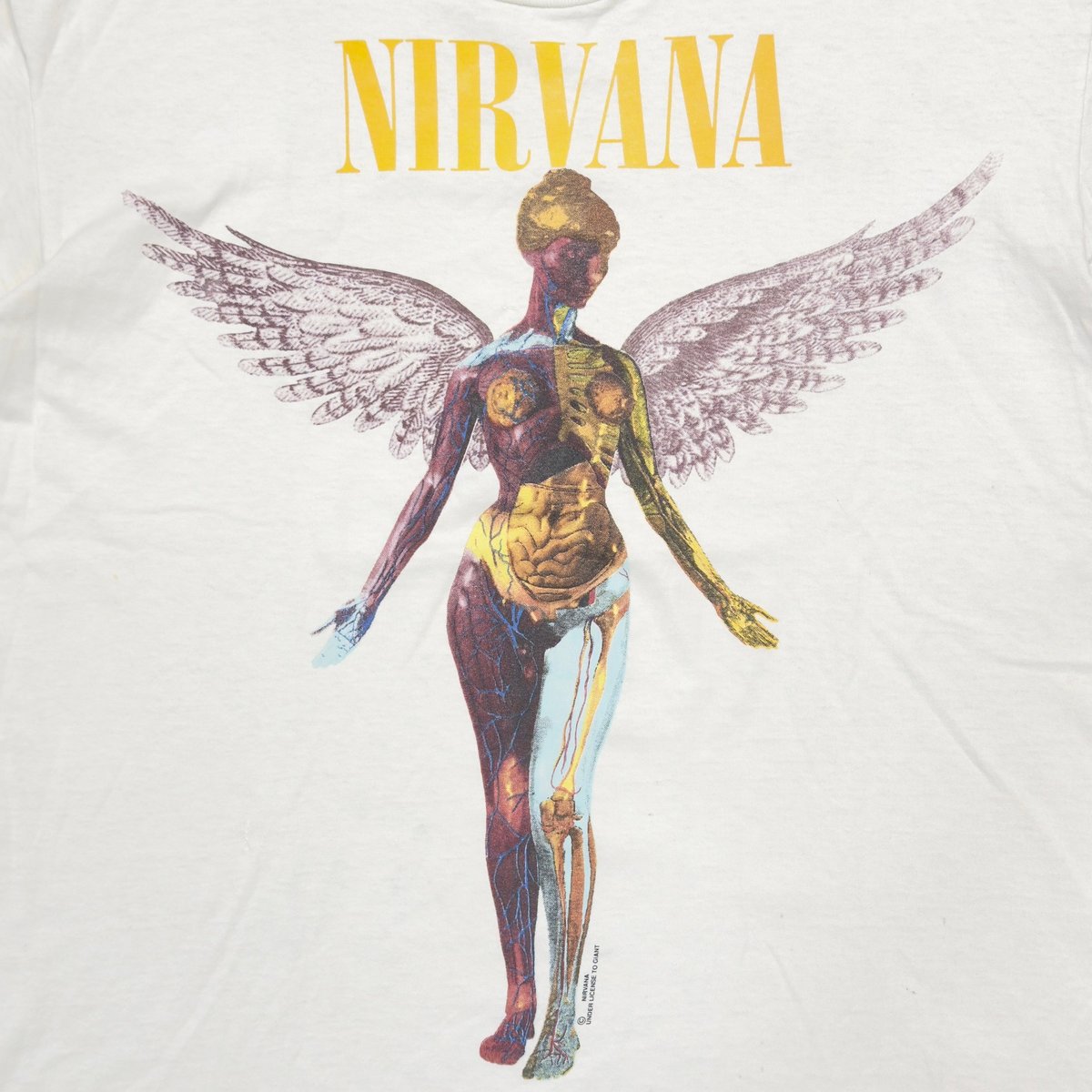 NIRVANA IN UTERO GIANT BY TEEJAYS XL 5048 | gre