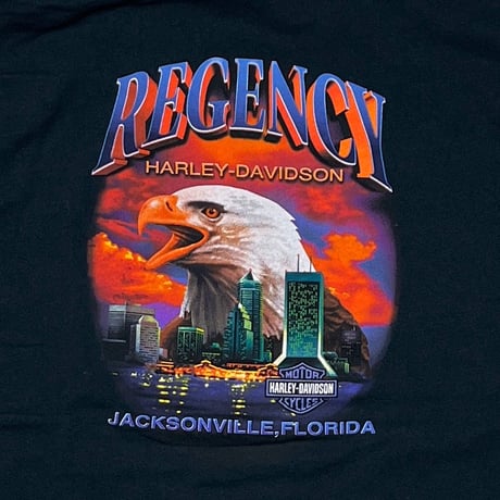 HARLEY DAVIDSON	2001 ARM BLUE FLAMING REGENCY JACKSONVILLE LS XXL 8728