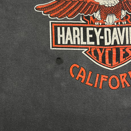 HARLEY DAVIDSON 2000 FLAME EAGLE LS SANTA CRUZ HANES LARGE 2253