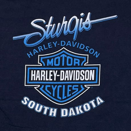 HARLEY DAVIDSON 2000 STUGIS BLUE ARM FLAMING SOUTH DAKOTA LS NAVY HANES XL 8734