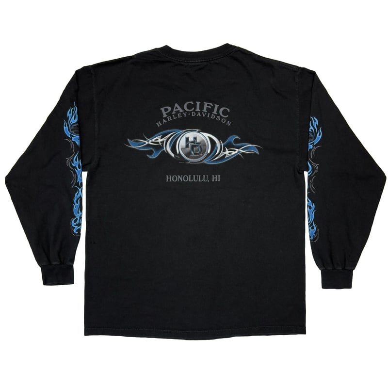 HARLEY DAVIDSON 2004 BLUE FLAME SKULL LS LARGE HARLEY DAVIDSON 2004 BLUE FLAME SKULL LS LARGE