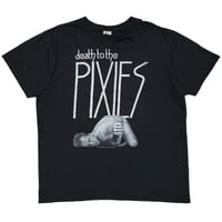 PIXIES 2004 DEATH TO THE PIXIES XL 6639