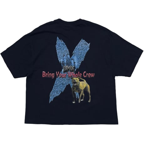 DMX BRING YOUR WHOLE CREW ALSTYLE 2XL 2372