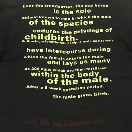 NIRVANA SEAHORSE ALL APOLOGIES FITS LARGE 1963