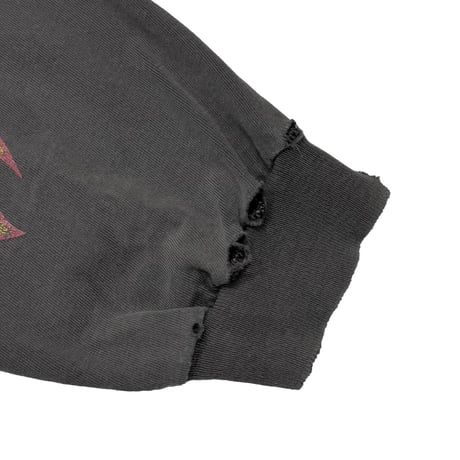 HARLEY DAVIDSON FLAME TAKE A RIDE IN THE COUNTRY ORWIGSBURG LS FADE XL 4282