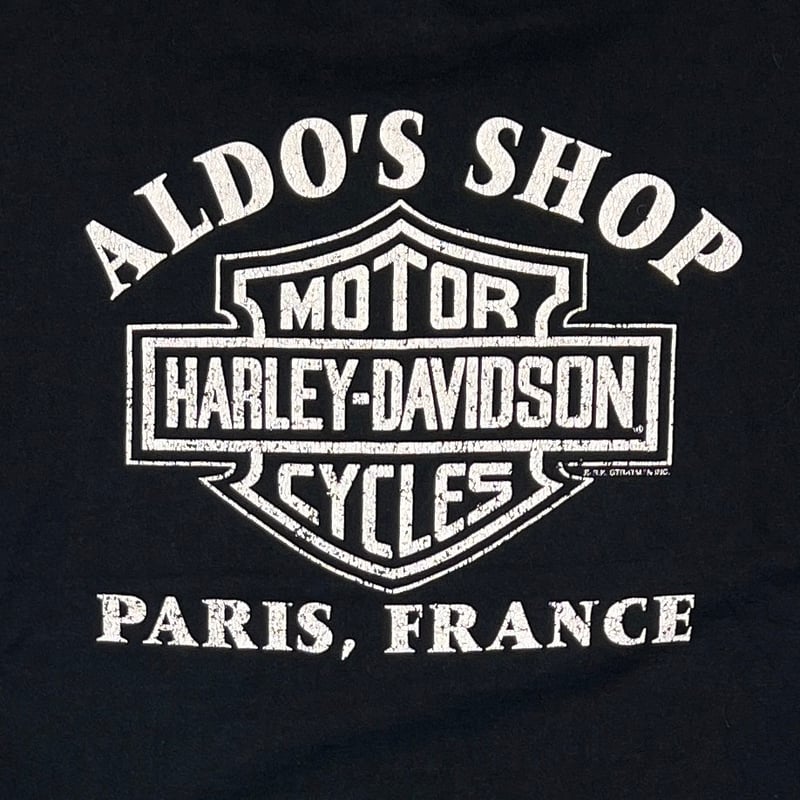 HARLEY DAVIDSON 90s BLUE FIRE FLAME ALDO'S SHOP