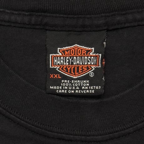 HARLEY DAVIDSON 2001 ENGINE FLAME LS ELECTRIC CITY SCRANTON XXL 5369