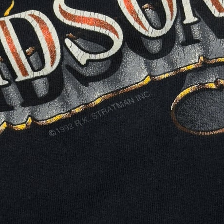 HARLEY DAVIDSON FLAME EAGLE McDERMOTT'S LS XL 7393