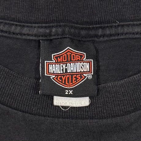 HARLEY DAVIDSON 2002 SNAKE ENGINE XXL 9759