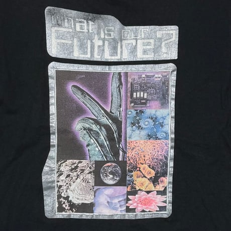 ANARCHIC ADJUSTMENT WHAT IS OUR FUTURE? LS FRUIT OF THE LOOM XL 8672