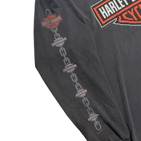 HARLEY DAVIDSON BIG EMBLEM ARM CHAIN PRINT 2002 BARTELS XL 3783