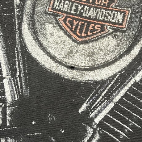HARLEY DAVIDSON THUNDER & LIGHTNING OVP XL 6505