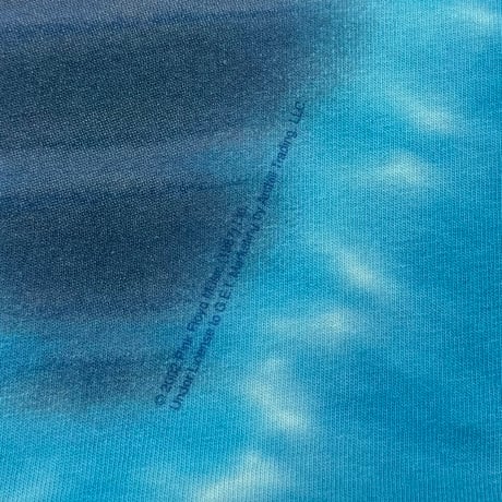 PINK FLOYD WISH YOU WERE HERE BLUE TIEDYE LIQUID BLUE FITS XL 1951