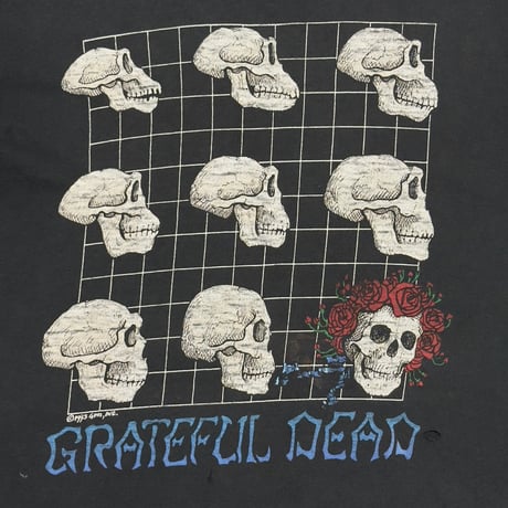 GRATEFUL DEAD 1993 WHAT A LONG STRANGE TRIP IT'S BEEN LIQUID BLUE LARGE 6981