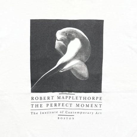 ROBERT MAPPLETHORPE THE PERFECT MOMENT FRUIT OF THE LOOM XL 0161
