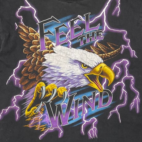 USA THUNDER EAGLE NORTON CHAMPAGNE FEEL THE WIND CHAMP XL 1381