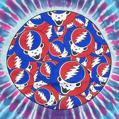 GRATEFUL DEAD 1995 DEAD BEAR LOGOS TIE DYE anvil LARGE 6781