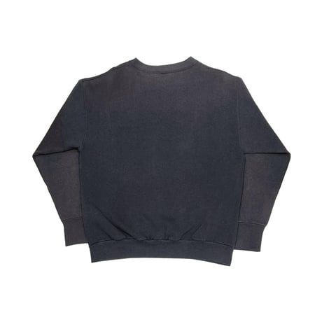 DENNIS RODMAN AIR WHO? CREWNECK SWEAT DELTA MEDIUM 2223
