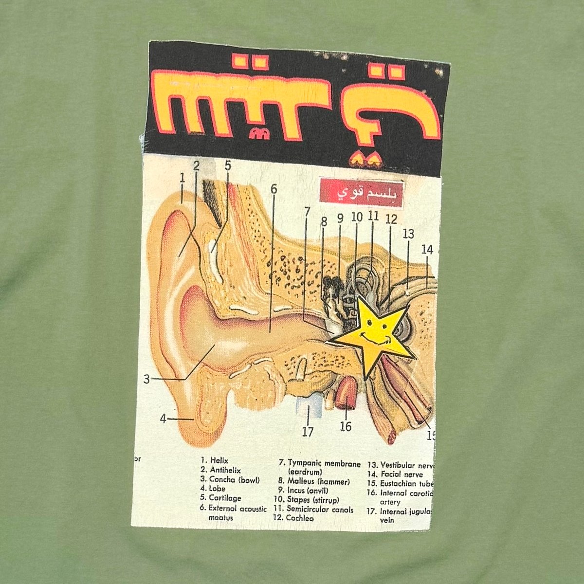 FLAMING LIPS UFO'S IN CHINA 1987 SAGE GREEN SOF