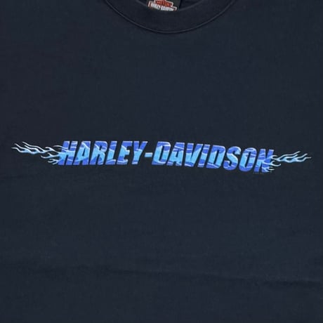 HARLEY DAVIDSON	BLUE FLAME LOGO OGDEN UTAH LS LARGE 5370