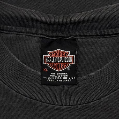 HARLEY DAVIDSON EAGLE FLAME BARNETT EL PASO TEXAS LS XL 6036
