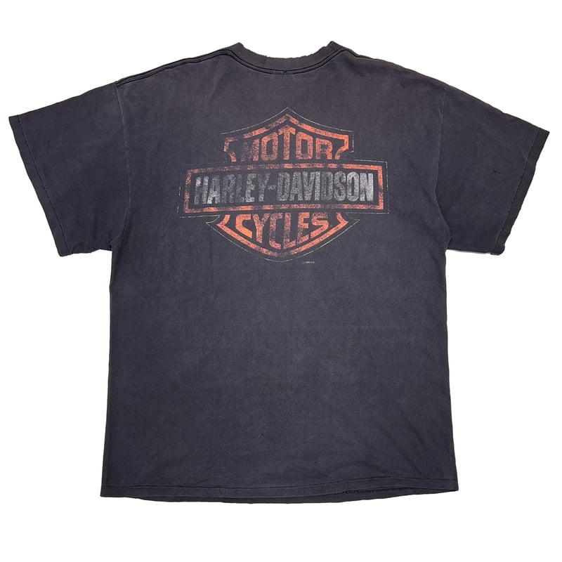 HARLEY DAVIDSON THE HOTTEST SOUND ON THE ROAD E