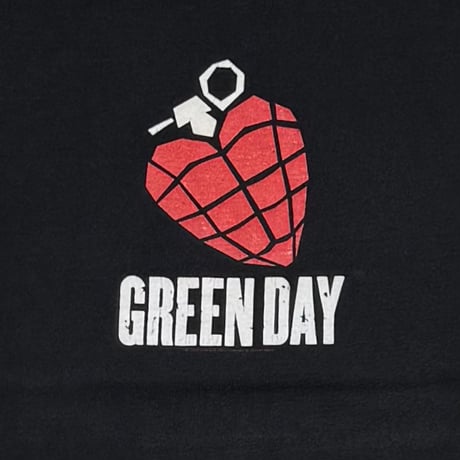 GREEN DAY AMERICAN IDIOT 2004 CINDER BLOCK FITS LARGE 5560