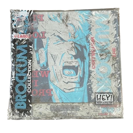NIRVANA DEAD STOCK NEVERMIND WHITE XL 7088