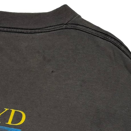 PINK FLOYD DARK SIDE OF THE MOON BROCKUM XL 8581