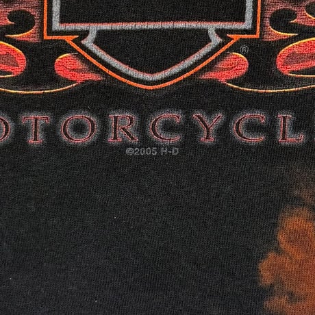 HARLEY DAVIDSON 2005 ARM FLAME LS XXL 4626