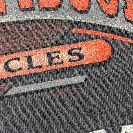 HARLEY DAVIDSON FRONT V FLAME SANDY'S LS FITS LARGE 8351