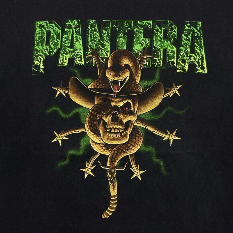 PANTERA 1995 THE GREAT SOUTHERN TRENDSKULL WINT