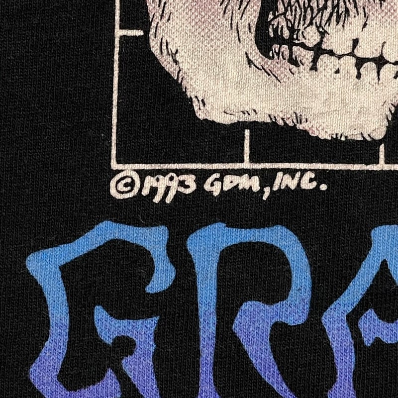GRATEFUL DEAD 1993 WHAT A LOMG STRANGE TRIP IT'