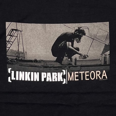 LINKIN PARK METEORA FRUIT OF THE LOOM LARGE 5118
