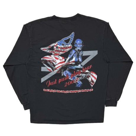 AEROSMITH JUST PUSH PLAY SORAYAMA AMERICAN FLAG BOOTLEG LS DELTA LARGE 2843