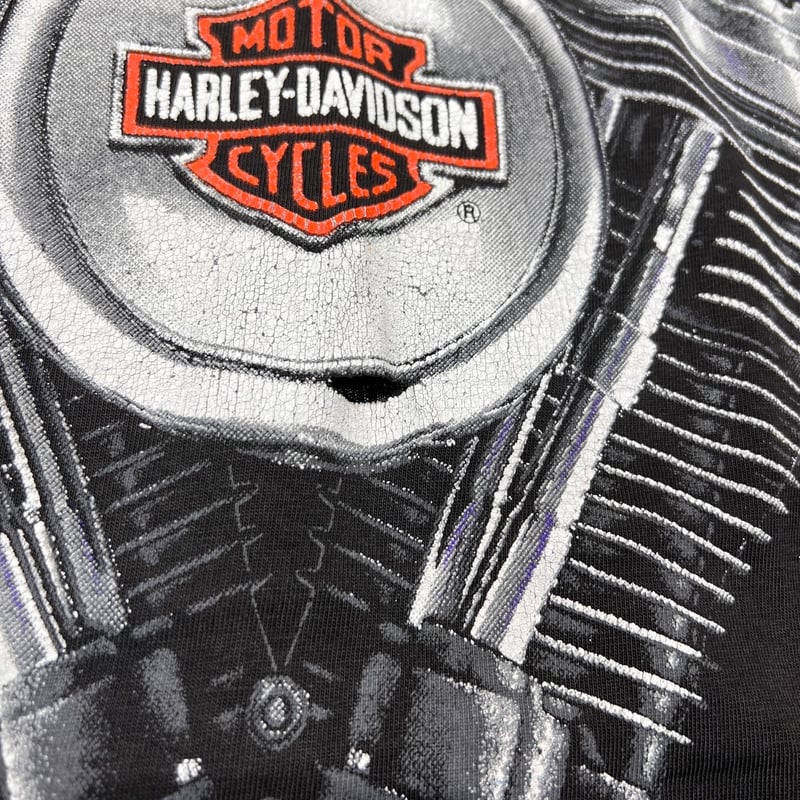 HARLEY DAVIDSON Thunder & Lightning OVP LARGE 2 HARLEY DAVIDSON Thunder & Lightning OVP LARGE 2