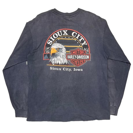 HARLEY DAVIDSON 1989 AMERICAN FLAG EAGLE am a,erican legend LS Hanes XL 8165