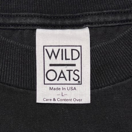 Budweisaer 1995 WATER SURFACE FROGS WILD OATS LARGE 8652